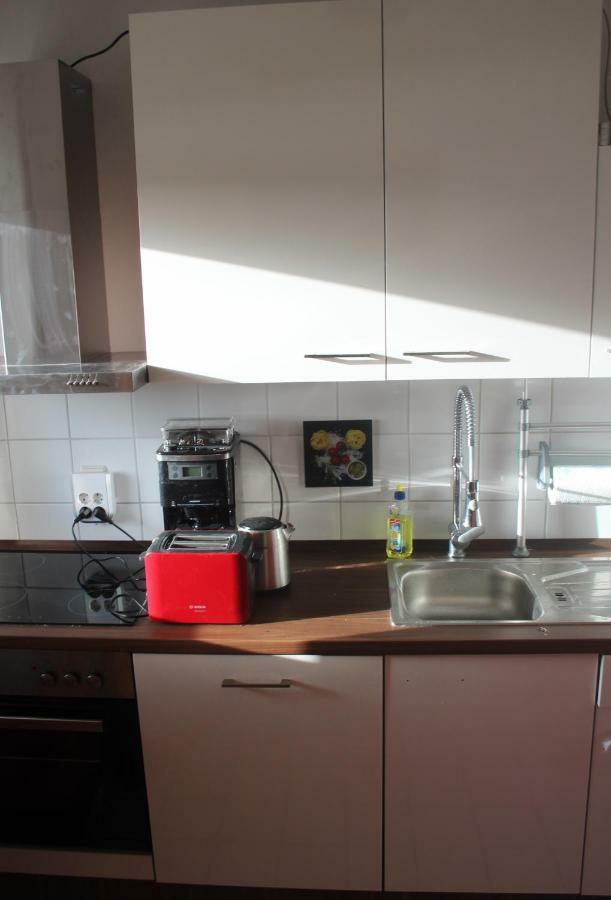 Ziebigk Appartement Deluxe Dessau-Rosslau Εξωτερικό φωτογραφία